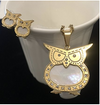 NECKLACE AND EARRING SET - (OWL GOLD)